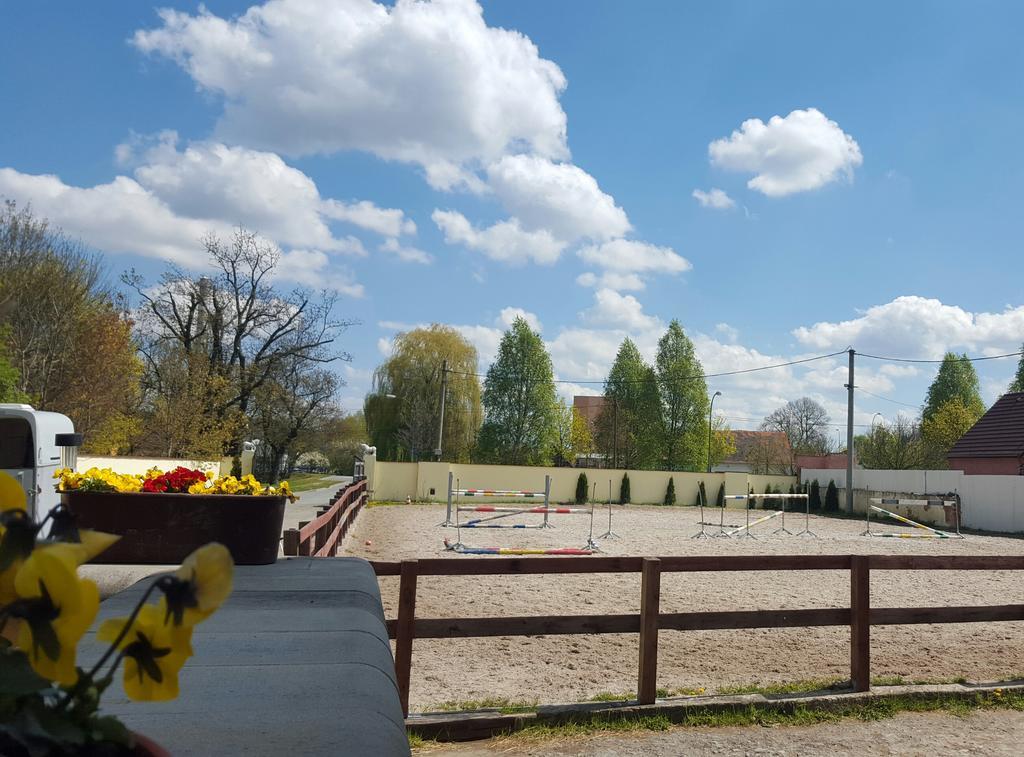 Farm Stay Nh Stables Nyrany 外观 照片