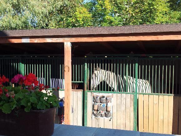 Farm Stay Nh Stables Nyrany 外观 照片