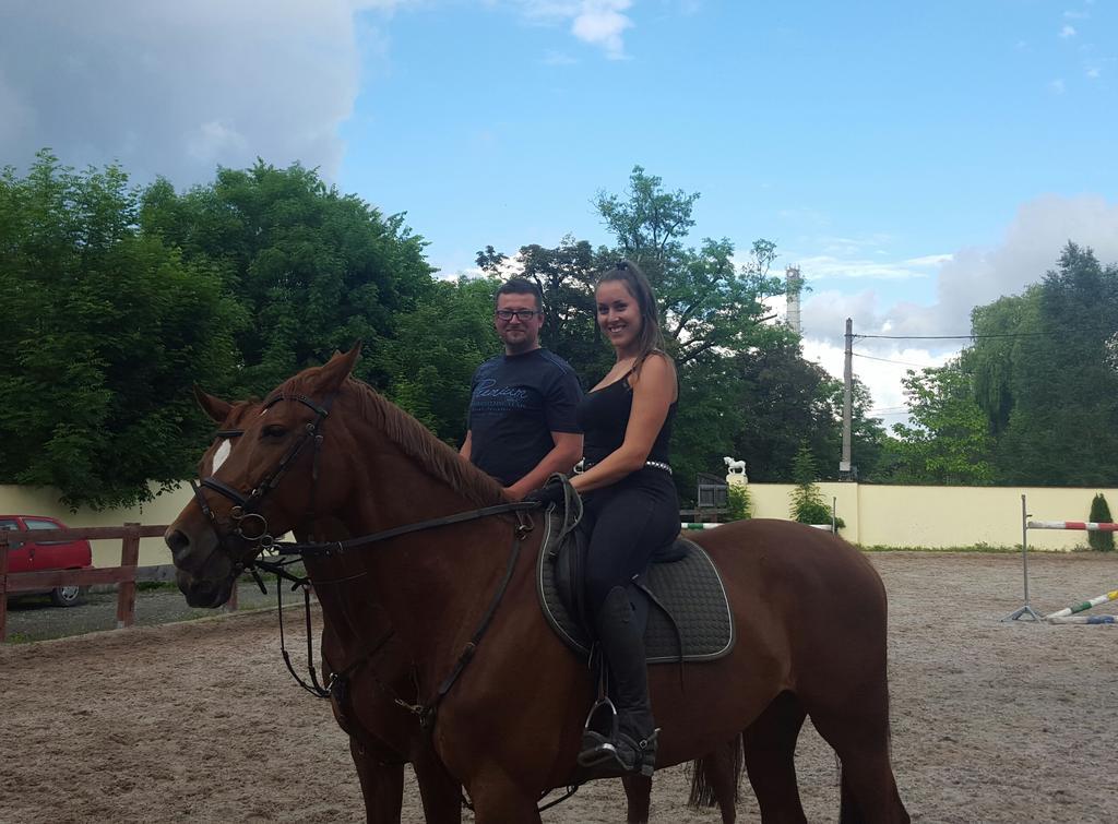 Farm Stay Nh Stables Nyrany 外观 照片