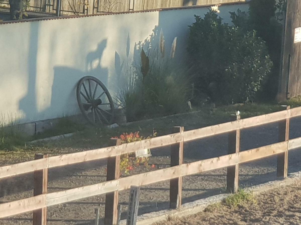 Farm Stay Nh Stables Nyrany 外观 照片