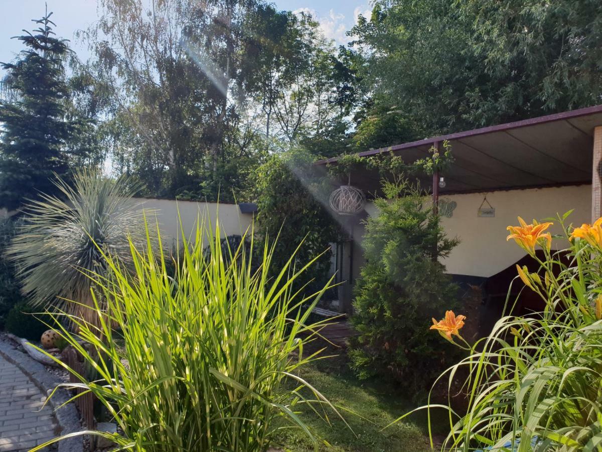 Farm Stay Nh Stables Nyrany 外观 照片