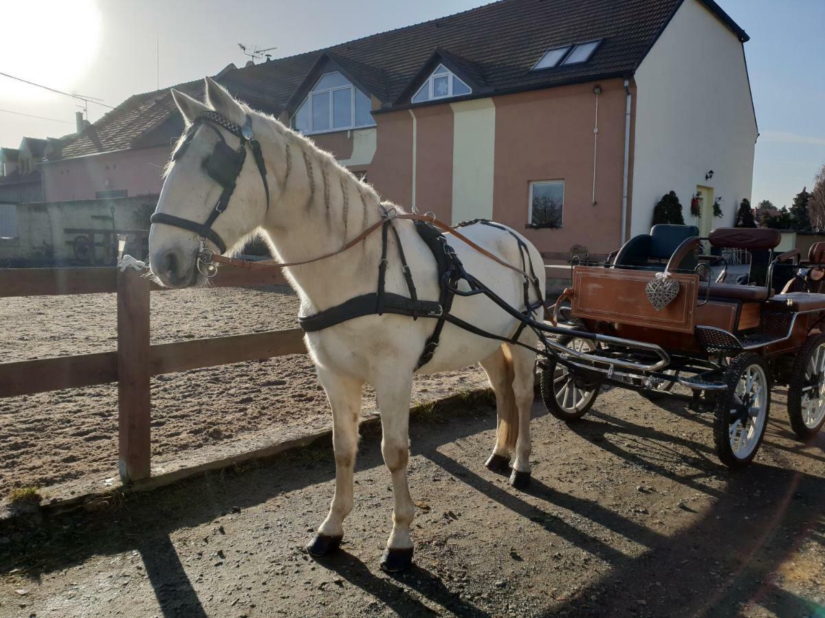 Farm Stay Nh Stables Nyrany 外观 照片